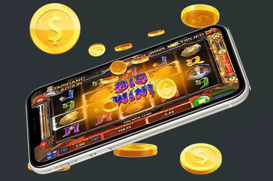 55bet